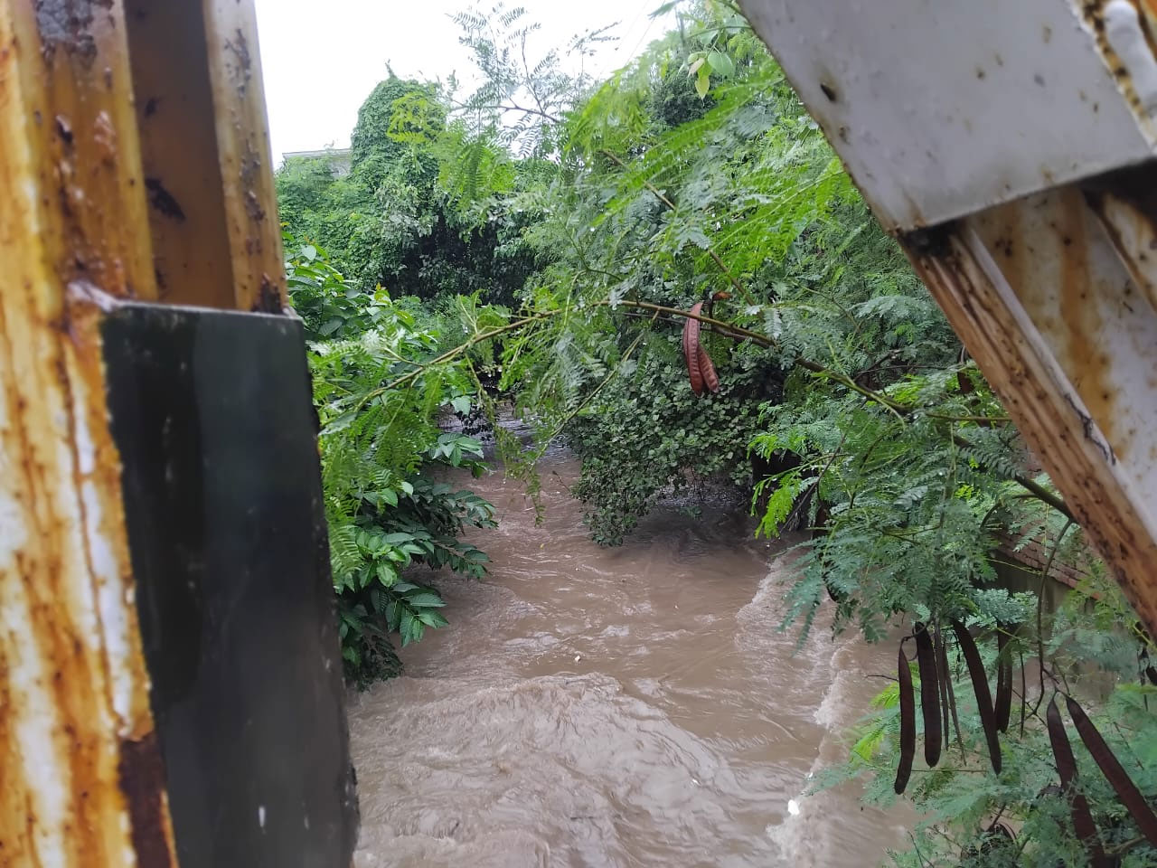 Zirakpur Dhakoli Heavy Rain Ghaggar Choe Water Level Increased