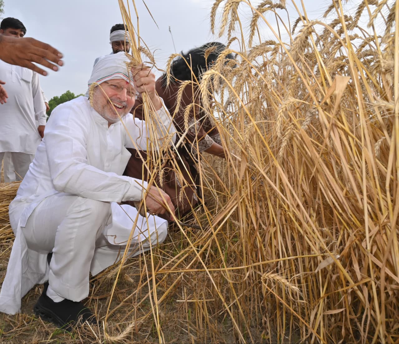 सहकारिता मंत्री का ठेठ अंदाज, मंडासा मार खेत में पहुंचे डॉ अरविंद शर्मा, पत्नी संग करी लामणी