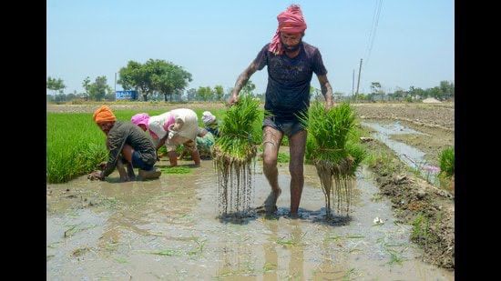 Mann Government Stands with Farmers