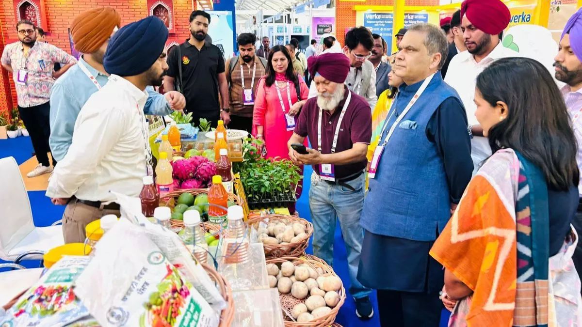 Mann Government's Remarkable Change