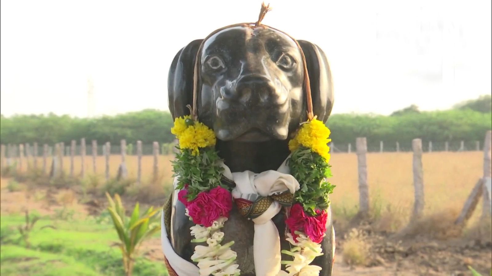 Tamil Nadu Man built temple of his pet dog in memory 