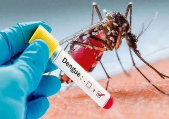 डेंगू के डेंजर जोन में पंचकूला: हरियाणा के 18 जिलों में तेजी से बढ़े डेंगू के मरीज