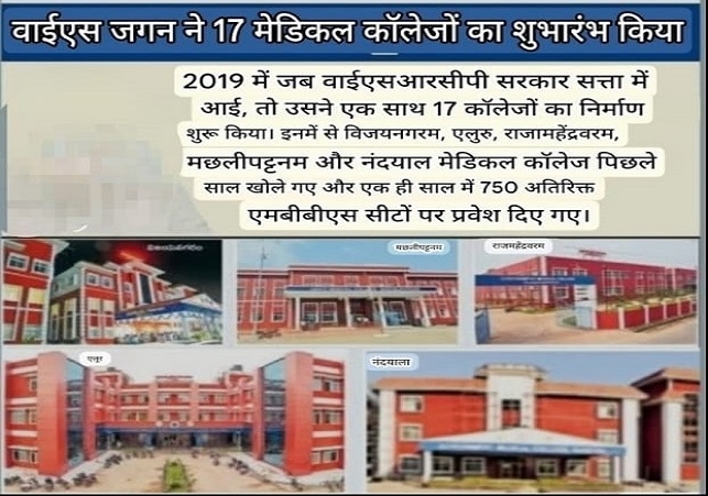 The TDP Alliance Government