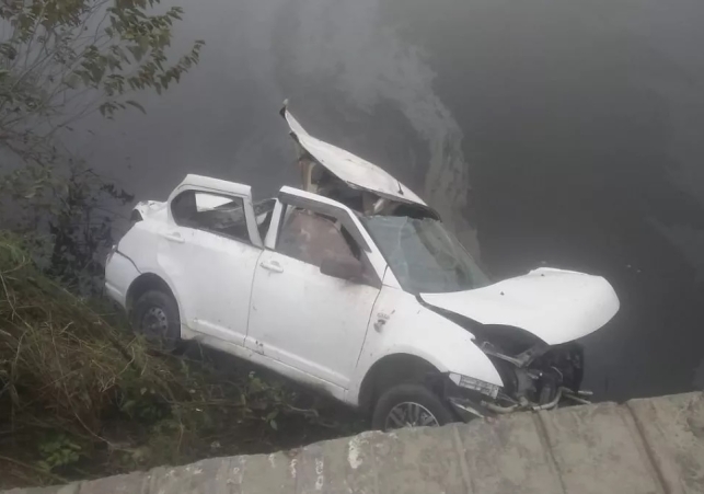 Uncontrollable Car Fell into the Pond