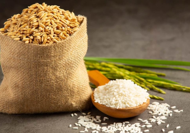 Rice Export India: 