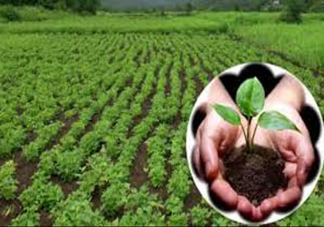 Natural Farming System in Himachal