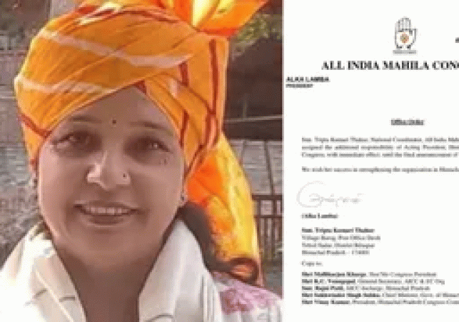 Himachal Mahila Congress gets new working president