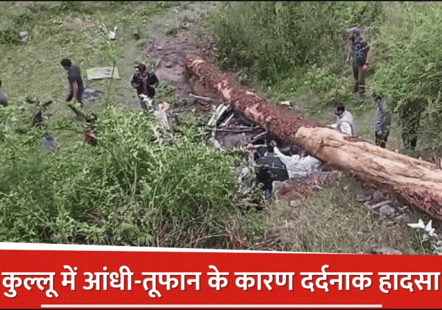 Natures fury in Kullu: A huge tree fell on a Bolero during a storm
