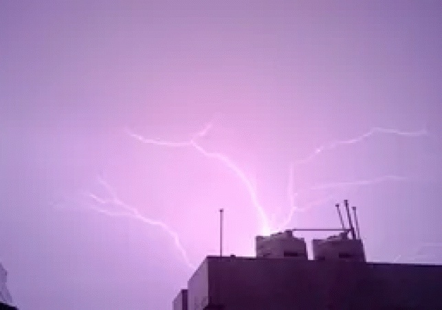 1000258614