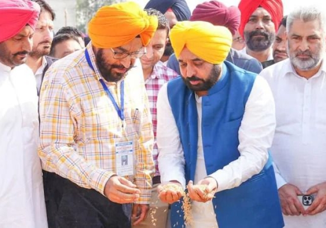 Mann Government's Marvel