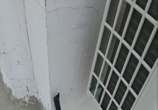 Brazen thieves struck Goodwill Society