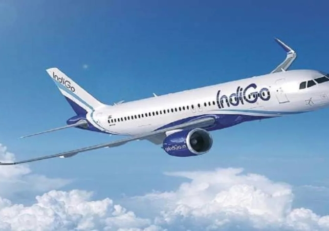 Indigo Airlines Flight