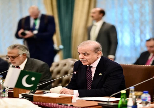Pakistan PM YouTube Block