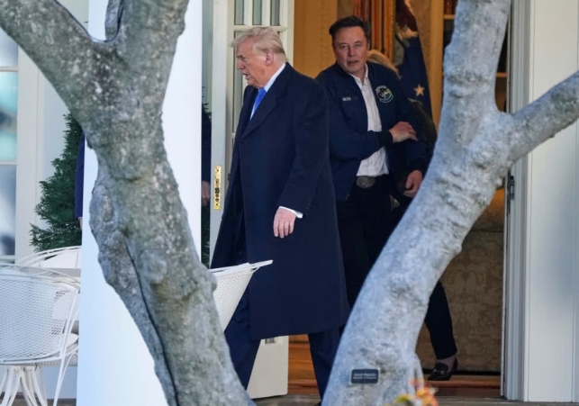 Elon Musk On Donald Trump