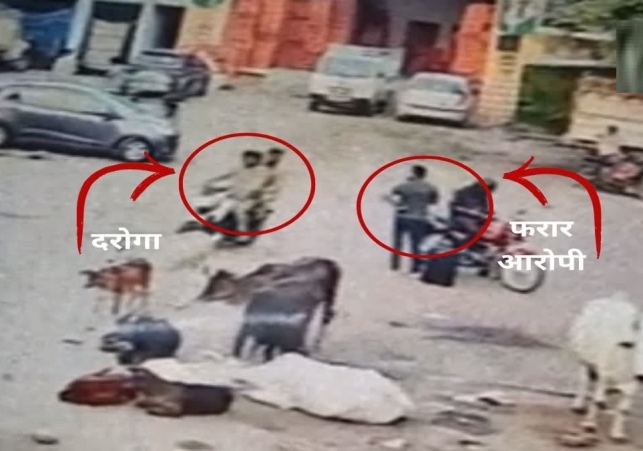 Video Of Chasing Away A Miscreant