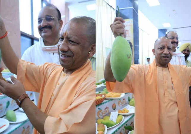 Mango Festival 2025