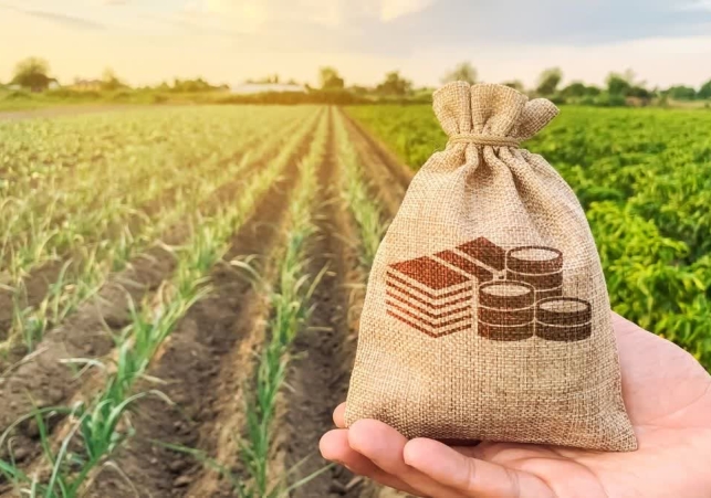 PM Kisan Yojana 20th Installment