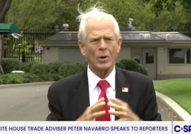 White House Trade Adviser Navarro