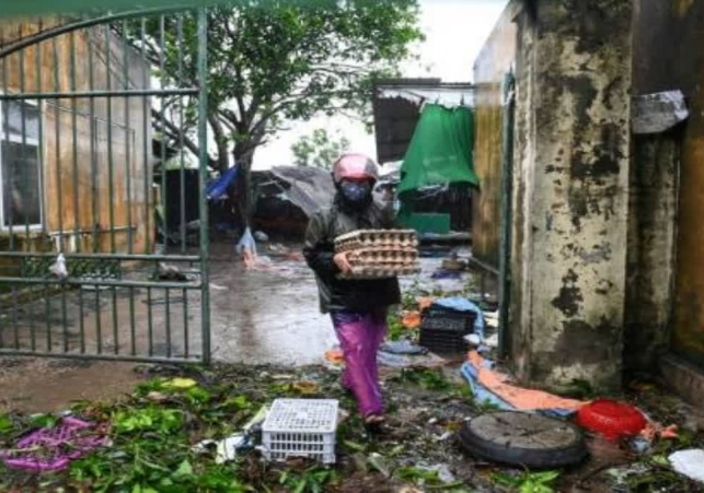 Typhoon Bualoi wreaks havoc in Vietnam