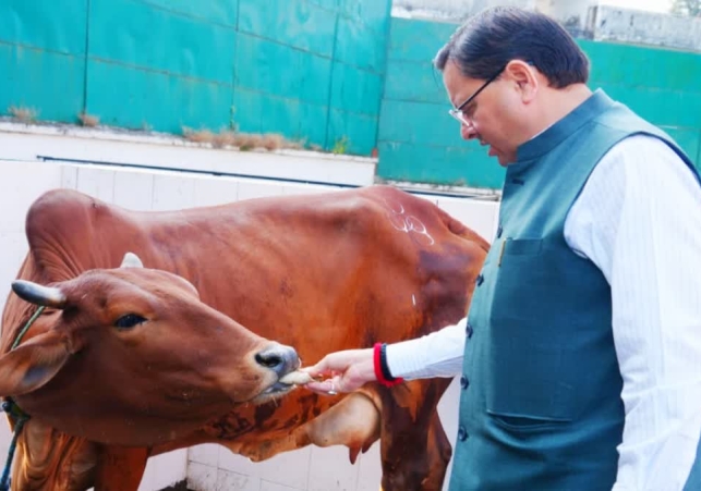 Cm Dhami Gaumata Pujan