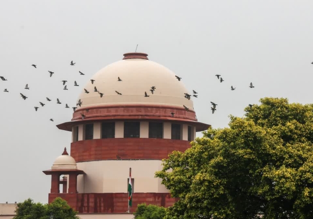 Presidential Gubernatorial