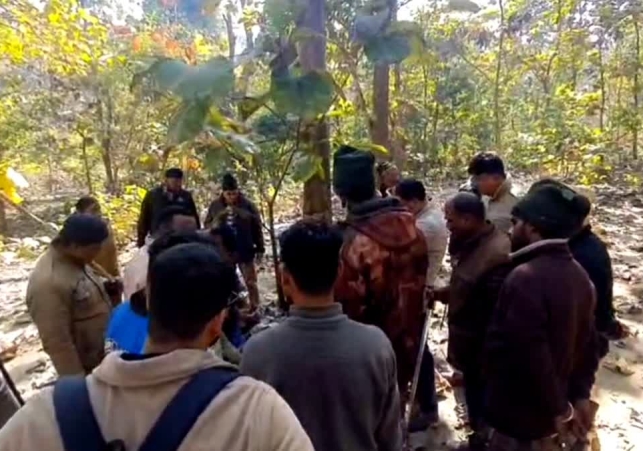 Ramnagar Tiger Terror