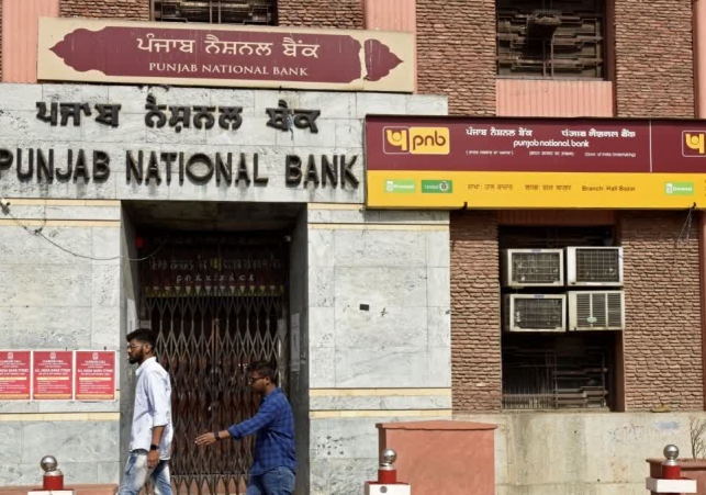 Punjab National Bank Net Profit
