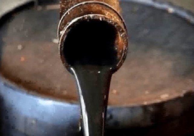 Russian Oil Purchase