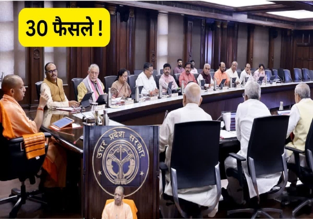 Yogi Cabinet Meeting