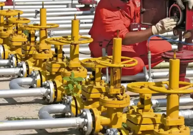 LPG to PNG Shift