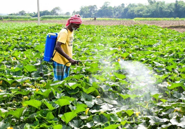 PM Kisan 23rd Installment Date