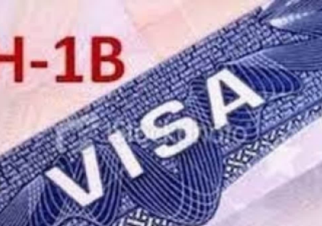 US H1B Visa Fraud Investigation