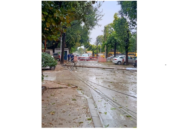 Stormy Winds and Heavy Rains Wreaked Havoc