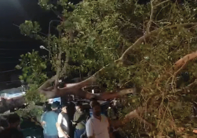Weather Havoc in Rajasthan