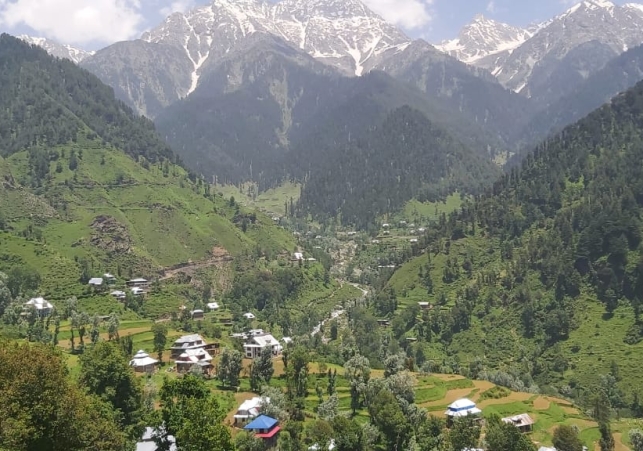 विदेश मंत्रालय ने गुरुवार को कहा कि जम्मू एवं कश्मीर में नियंत्रण रेखा (एलओसी) पर पाकिस्तान के संघर्ष विराम उल्लंघन में 13 नागरिक मारे गए हैं और 59 अन्य घायल हुए हैं