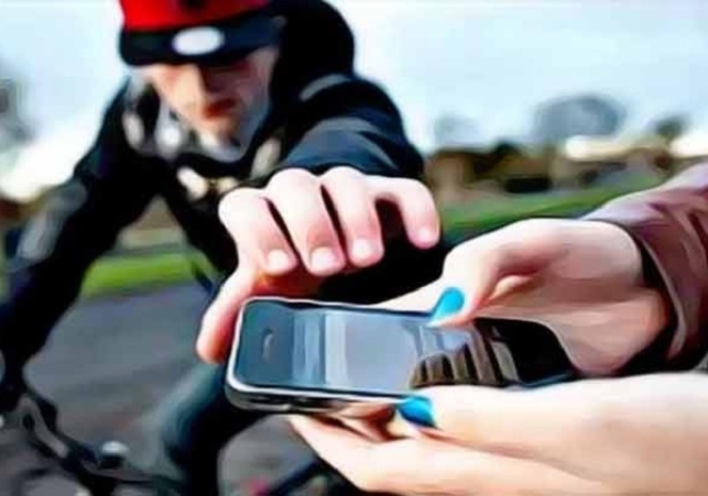 Two Vicious Accused Snatched a Girl's Phone