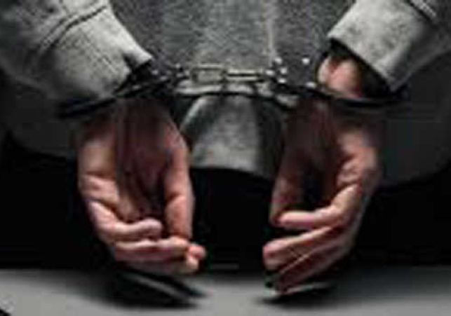 Inter-State and Cross-Border Smuggling Networks Exposed