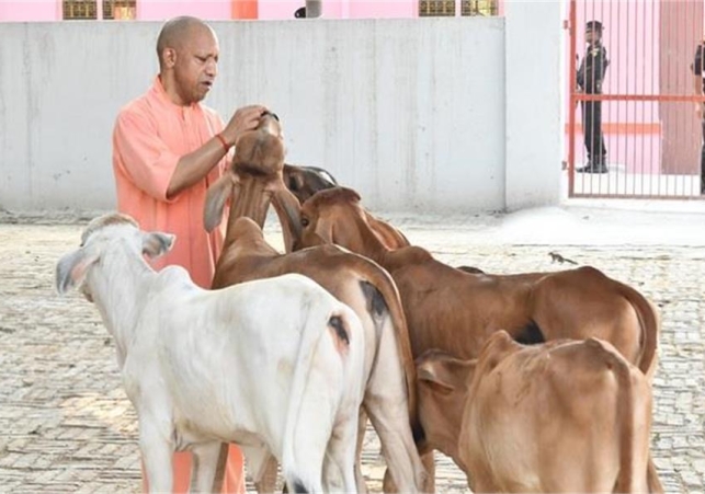 UP Becomes the Nation Milk Champion