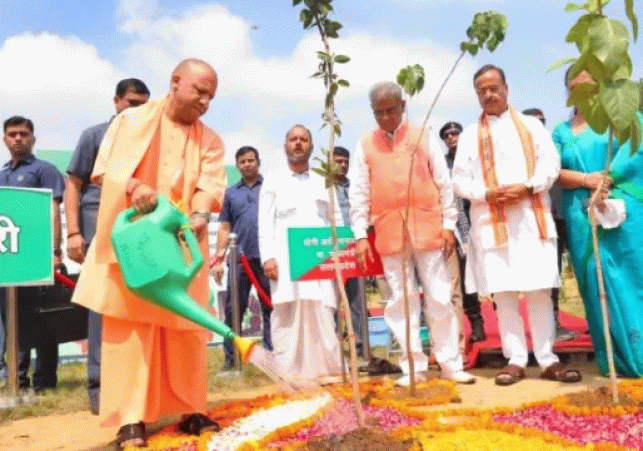 Target set to plant over 350 million saplings in Uttar Pradesh