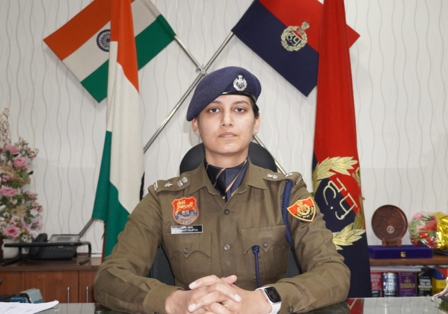 New Year Celebrations in Panchkula