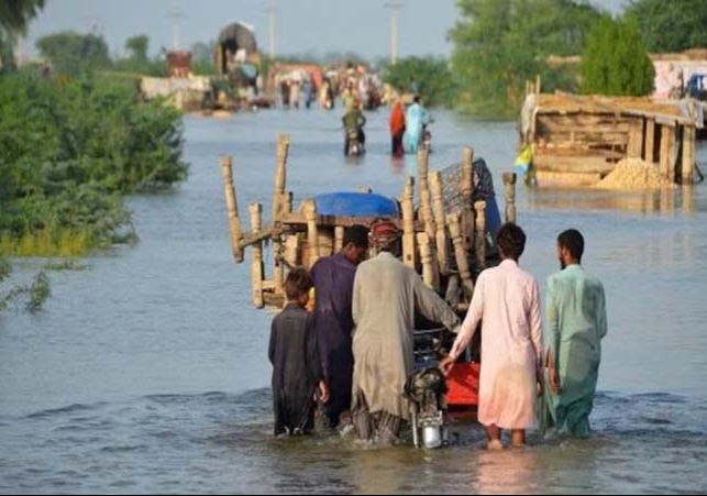 23 killed and 75 injured in rain-related incidents in Pakistan