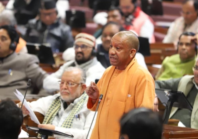 Cm Yogi Codeine Cough Syrup