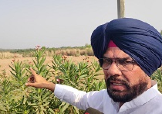 पंजाब के मंत्री कुलदीप धालीवाल  ने मोहाली के सिसवां के नज़दीक गाँव अभीपुर में 29 एकड़ पंचायती ज़मीन से अवैध कब्ज़ा हटवाया  