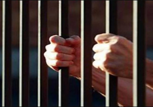 Two Brothers Sentenced to Seven Years in Prison