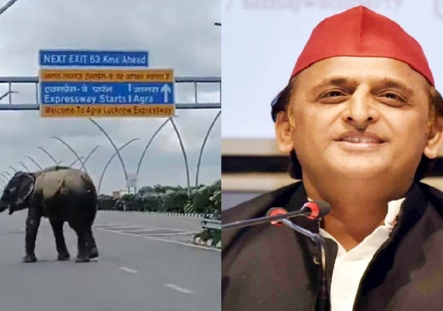 UP News: आगरा-लखनऊ एक्सप्रेस-वे पर पहुंच गया हाथी