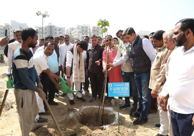 One Tree in the Name of Mother