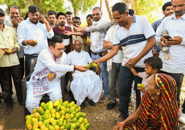 CM Bhajanlal Sharma spotted buying mangoes