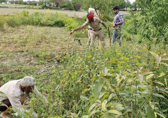 Police raided the farm house