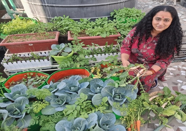 Growing Vegetables Using Vermicompost