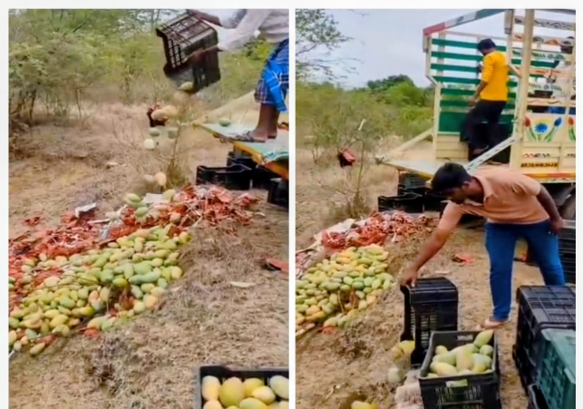 Dumping the mango crop on the roads